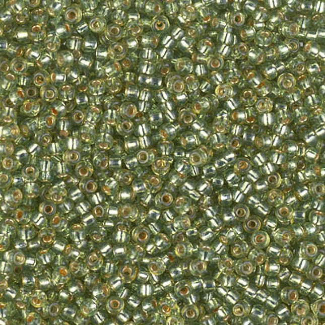 Miyuki 11/0 Seed Beads - 11-4273 - Duracoat Silverlined Dyed Willow