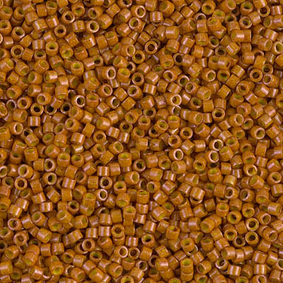 DB0664 - DB664 - Dyed Op Dk Pumpkin 
