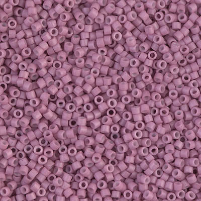 DB0800 - DB800 - Dyed S/M OP Antique Rose